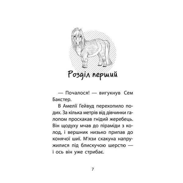 Історії порятунку. Книга 8. Самотній поні. Деніелс Л. 9786177877423 104574 фото