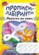 Прописи-лабіринти Дорогою до казки - Щербашина Н.В. - ТОРСІНГ (104967) 104967 фото 1