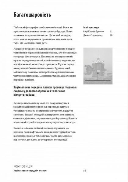 Як знімати неймовірні фотографії -Керол Генрі - АРТХАСС 126211 фото