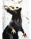 Banksy: Ви становите загрозу прийнятного рівня - Шов Гері - АРТХАСС 126174 фото 6