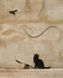Banksy: Ви становите загрозу прийнятного рівня - Шов Гері - АРТХАСС 126174 фото 5