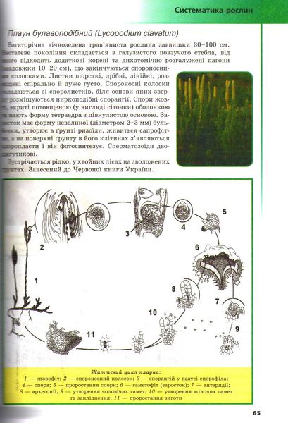 Біологія, 7-8 кл., Ілюстрований довідник - Шаламов Р.В. - Гімназія (107239) 107239 фото