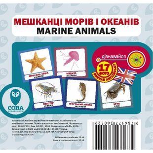 Мешканці морів і океанів. Marine Animals. 17 карток. 9786177360529 111947 фото