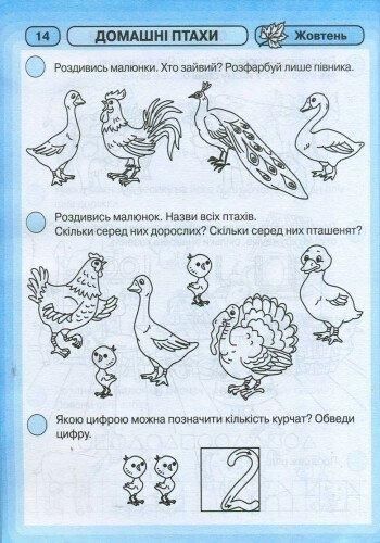 Промінчики знань. Робочий зошит 5+ - РАНОК 126455 фото