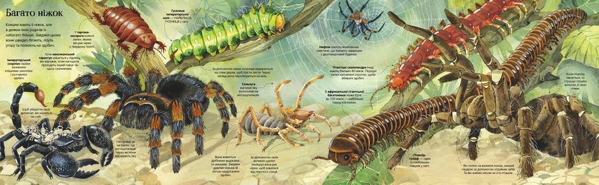Велика книга комах і не тільки - Емілі Боун- АРТБУКС (106232) 106232 фото