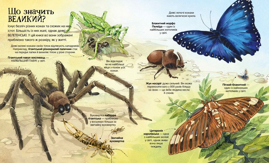 Велика книга комах і не тільки - Емілі Боун- АРТБУКС (106232) 106232 фото