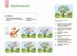 Готуємось до НУШ. Мій альбом для малювання. 4-5 років - Юрченко Н.Ф. - ОСНОВА (123815) 123815 фото 2