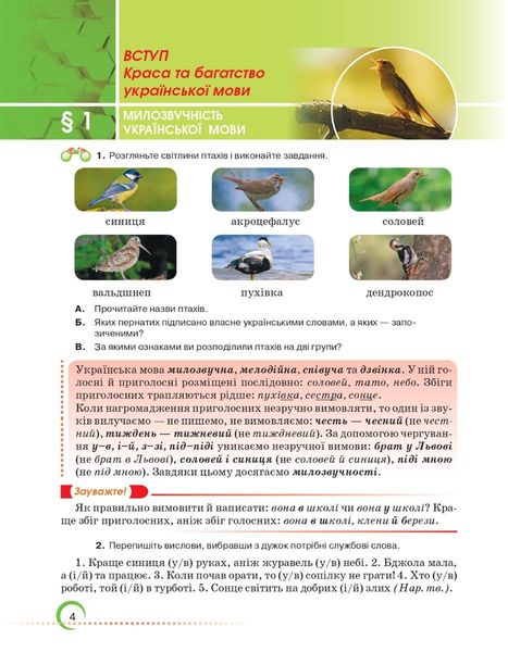 Українська мова, 6 кл., Підручник - Авраменко О. М. - Грамота (107492) 107492 фото