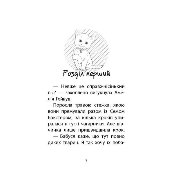 Історії порятунку. Книга 9. Загублене кошеня. Деніелс Л. 9786177995325 120587 фото