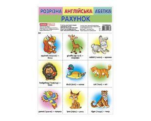 Розрізна англійська абетка та рахунок. Роздавальний матеріал / РАНОК НП 129987 фото