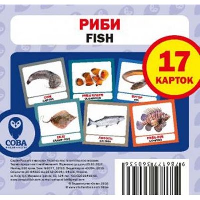 Риби. Fish. 17 карток. 9786177360536 111980 фото
