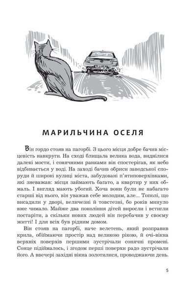 Чи бачать небеса котів : повісті- Заржицька Еліна- БОГДАН 122772 фото