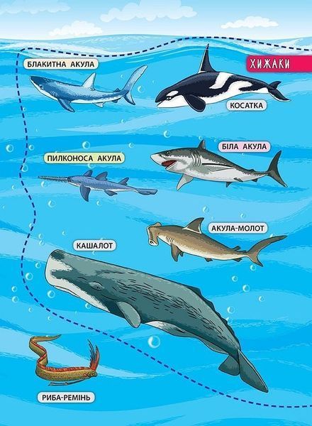 Енциклопедія з наліпками. Мешканці морів та океанів - Смирнова К. В. - УЛА (104847) 104847 фото