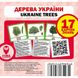 Дерева України. Ukraine Trees. 17 карток. 9789669751898 111953 фото 1