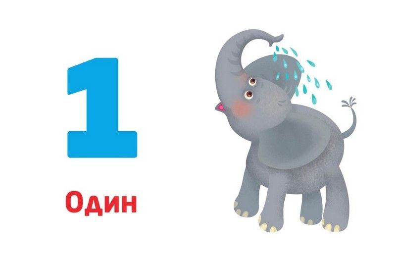 Багаторазові прописи. Цифри та числа / КЕНГУРУ 121673 фото