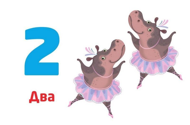 Багаторазові прописи. Цифри та числа / КЕНГУРУ 121673 фото