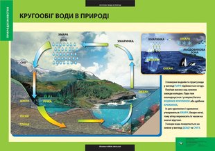 ПЛАКАТ Кругообіг води у природі 103114 фото