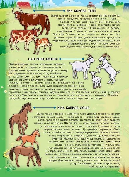 Енциклопедія з наліпками. Свійські тварини - Смирнова К. В. - УЛА (104848) 104848 фото