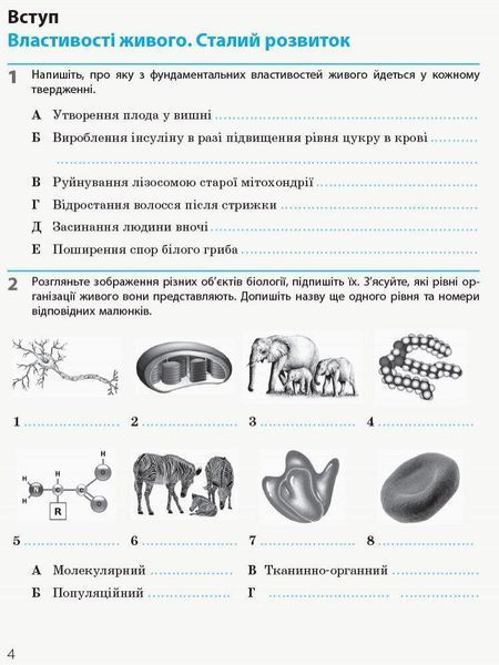 Біологія і Екологія, 10 кл., Робочий зошит. Рівень стандарту - 0 - РАНОК (124923) 124923 фото