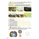 НУШ 5 клас. Пізнаємо природу. Робочий зошит-практикум. Біда Д.Д. 978-966-983-336-5 116221 фото 3