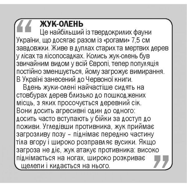 Комахи. Insects. 17 карток. 9789669751850 111963 фото