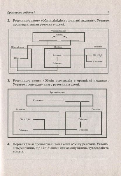 Біологія і Екологія, 10 кл., Зошит для лабораторних та практичних робіт - Кулініч О.М. - ПЕТ (110807) 110807 фото