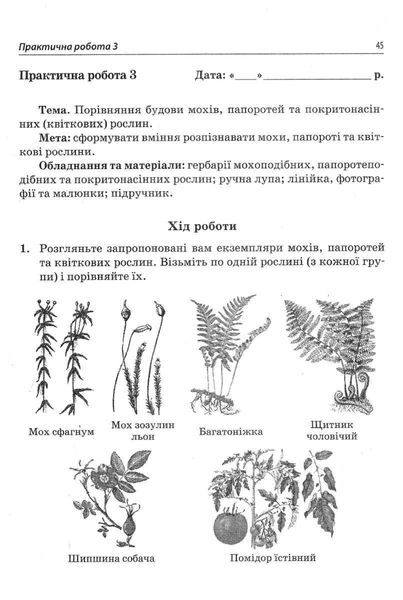 Біологія, 6 кл., Зошит для практ. робіт та лабор.досліджень - Кулініч О.М. - ПЕТ (110803) 110803 фото